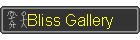 Bliss Gallery