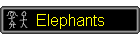 Elephants