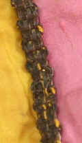 RickRack3.jpg (150083 bytes)