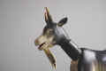 goatpecu (2).JPG (96534 bytes)