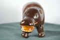 hippocu2 (2).JPG (99242 bytes)