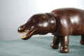 hippocu (2).JPG (112911 bytes)