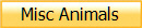 Misc Animals