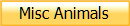 Misc Animals